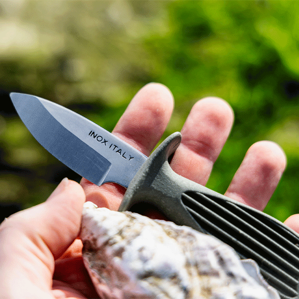 Oyster shucking knife with green handle next to oyster shell