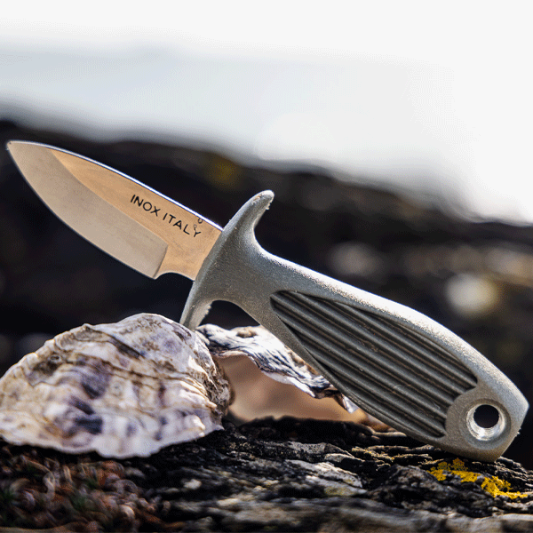 Oyster shuck knife resting on opened oyster shells