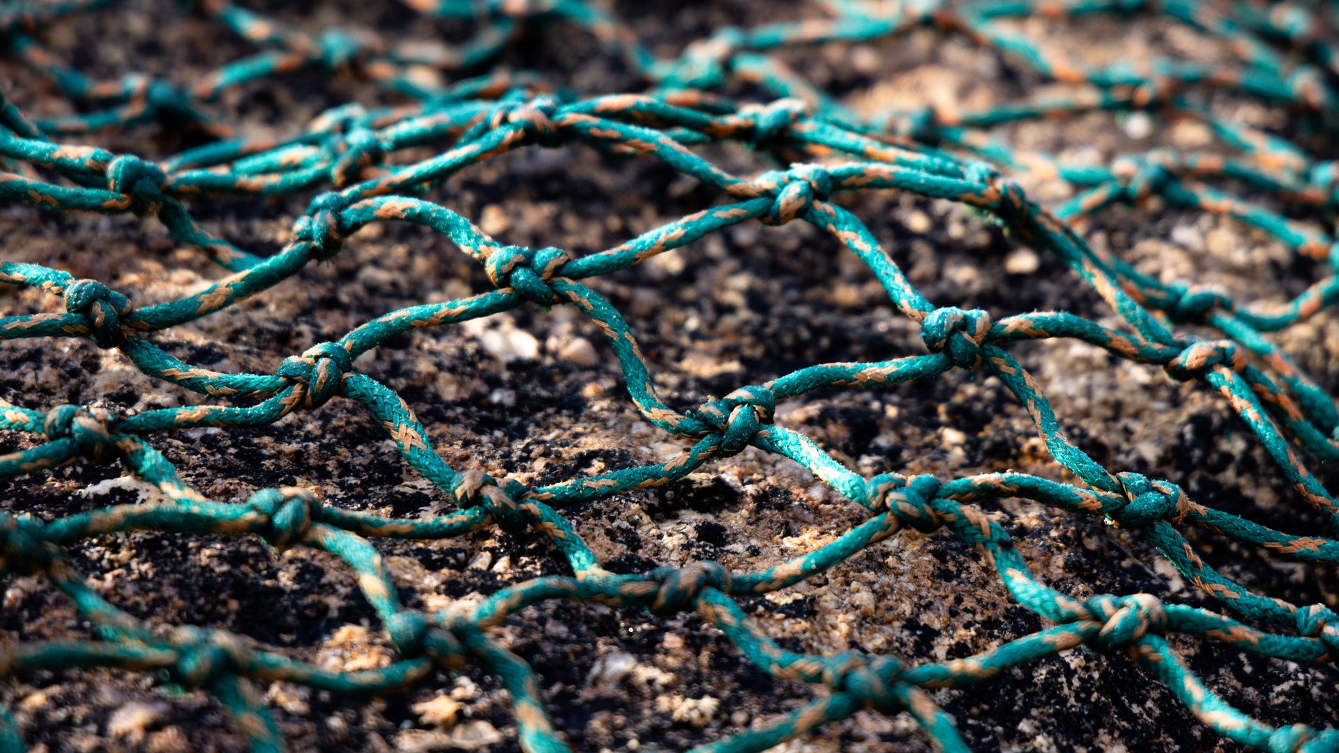 Waterhaul-product-collabs.jpg__PID:b06d8282-a6a2-4b9f-a0bf-51d7e5f46a1d