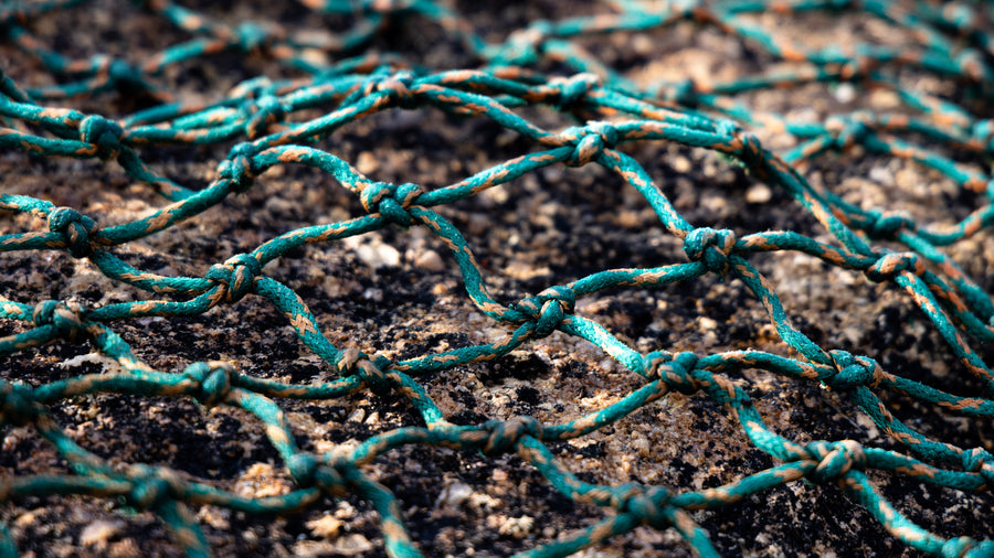 Waterhaul-product-collabs.jpg__PID:b06d8282-a6a2-4b9f-a0bf-51d7e5f46a1d