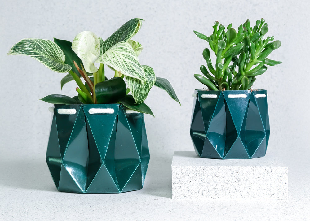 Two geometric green planters with plants on a light gray background