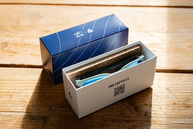 Product packaging with Waterhaul and Dolphin Project branding, with a blue lid and white base on a wooden surface