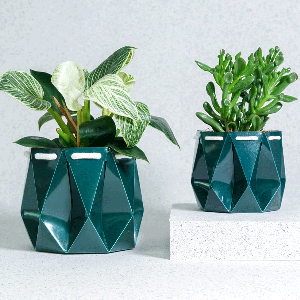 Two geometric green planters with plants on a light grey background