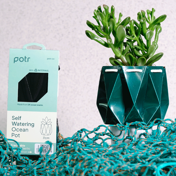 Geometric teal pot with a plant and potr packaging on a textured background