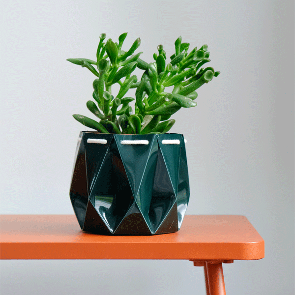 Geometric green pot with a succulent plant on an orange table against a light grey background